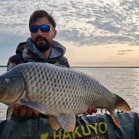 Ionut Marculescu
